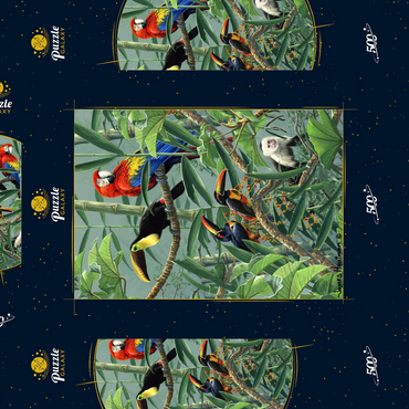 Papageien und Tukane im Regenwald 500 Puzzle Schachtel 3D Modell
