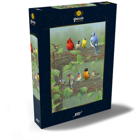 Farbenfrohe Vogelschar 1000 Puzzle Schachtel Ansicht2