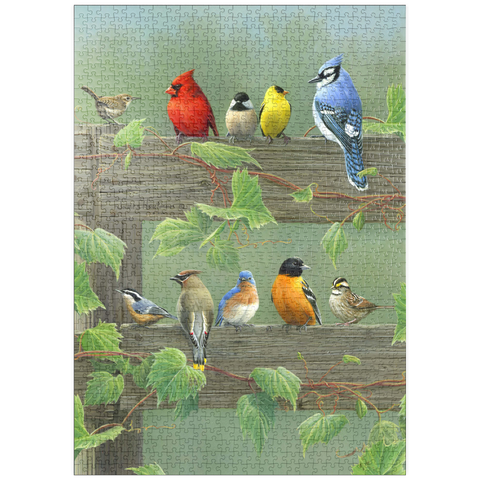 puzzleplate Farbenfrohe Vogelschar 1000 Puzzle