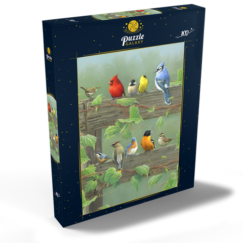 Farbenfrohe Vogelschar 100 Puzzle Schachtel Ansicht2