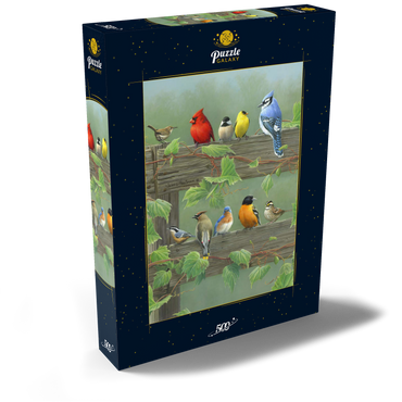 Farbenfrohe Vogelschar 500 Puzzle Schachtel Ansicht2