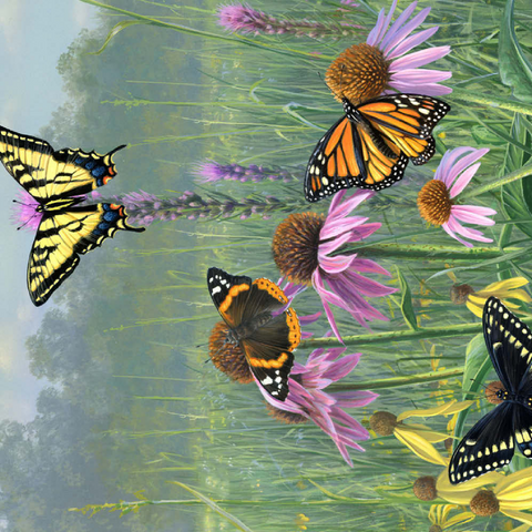 Schmetterlinge im Sommergarten 100 Puzzle 3D Modell