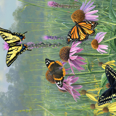 Schmetterlinge im Sommergarten 200 Puzzle 3D Modell