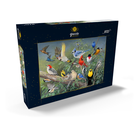 Birds 1000 Puzzle Schachtel Ansicht2