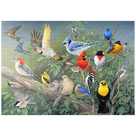 Darstellung des Puzzle-Motivs Farbenfrohes Vogeltreffen – Puzzleteile: 1000