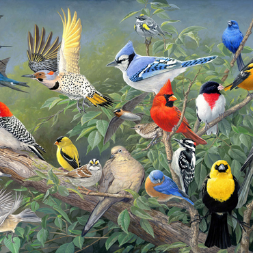 Birds 1000 Puzzle 3D Modell