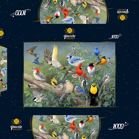 Birds 1000 Puzzle Schachtel 3D Modell