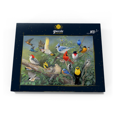 Birds 100 Puzzle Schachtel Ansicht3