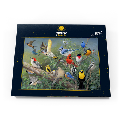Birds 100 Puzzle Schachtel Ansicht3