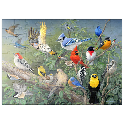 puzzleplate Birds 100 Puzzle