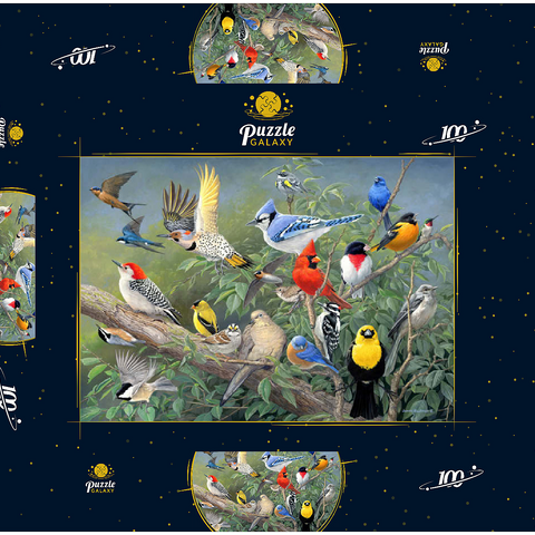 Birds 100 Puzzle Schachtel 3D Modell