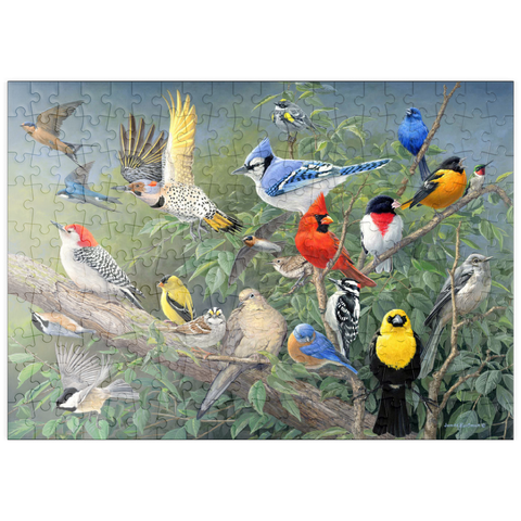 puzzleplate Birds 200 Puzzle