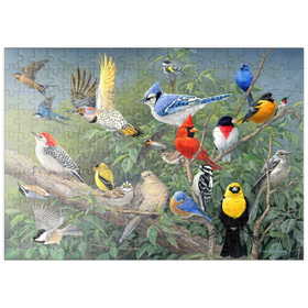 Darstellung des Puzzle Motivs Farbenfrohes Vogeltreffen - Puzzleteile: 200