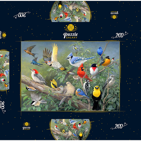 Birds 200 Puzzle Schachtel 3D Modell