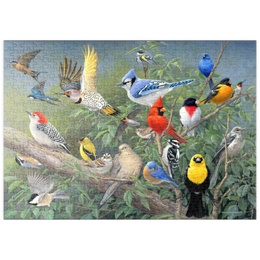 puzzleplate Birds 500 Puzzle