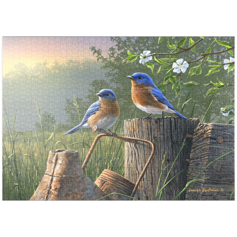 puzzleplate Daybreak Bluebirds 1000 Puzzle