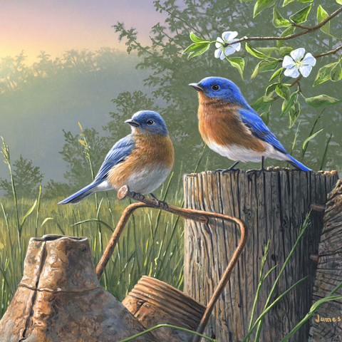 Daybreak Bluebirds 1000 Puzzle 3D Modell