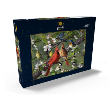 Songbirds 1000 Puzzle Schachtel Ansicht2