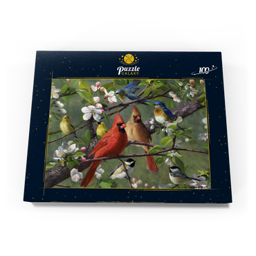 Songbirds 100 Puzzle Schachtel Ansicht3