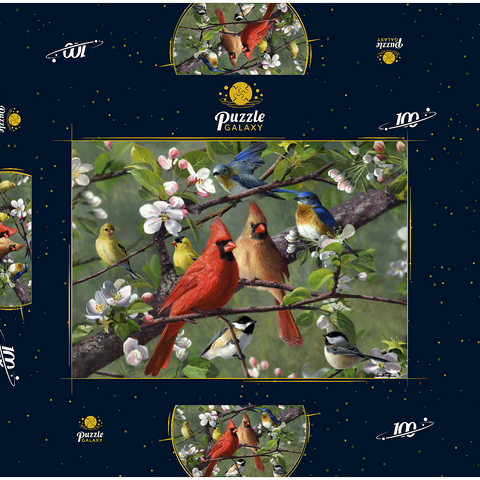 Songbirds 100 Puzzle Schachtel 3D Modell