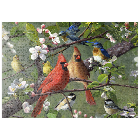 puzzleplate Songbirds 500 Puzzle