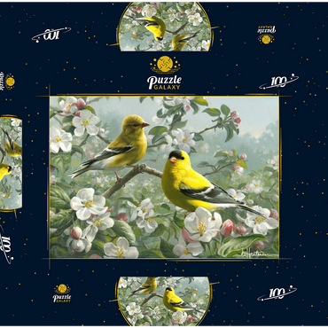 Orchard Goldfinch 100 Puzzle Schachtel 3D Modell