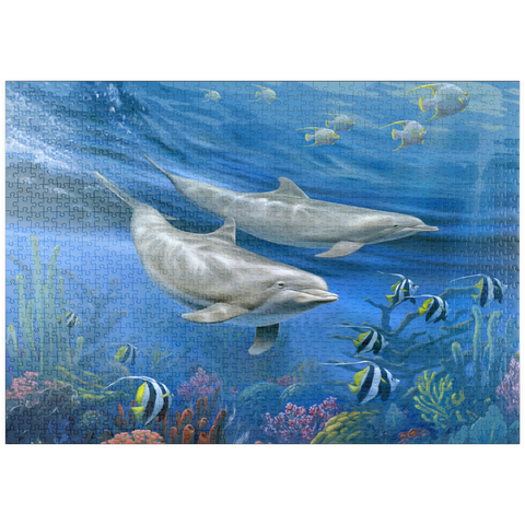 puzzleplate Dolphins 1000 Puzzle