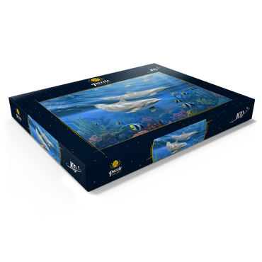 Dolphins 100 Puzzle Schachtel Ansicht1