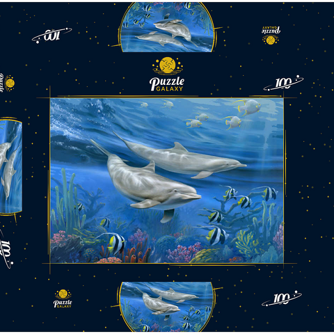 Dolphins 100 Puzzle Schachtel 3D Modell