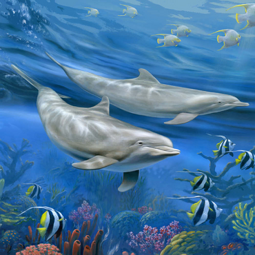 Dolphins 200 Puzzle 3D Modell