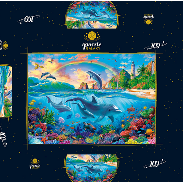 Dolphins in the Ocean 100 Puzzle Schachtel 3D Modell