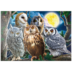 Darstellung des Puzzle-Motivs Eulenschau im nächtlichen Wald – Puzzleteile: 1000