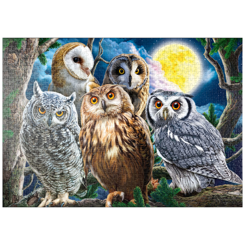 puzzleplate Owls 1000 Puzzle