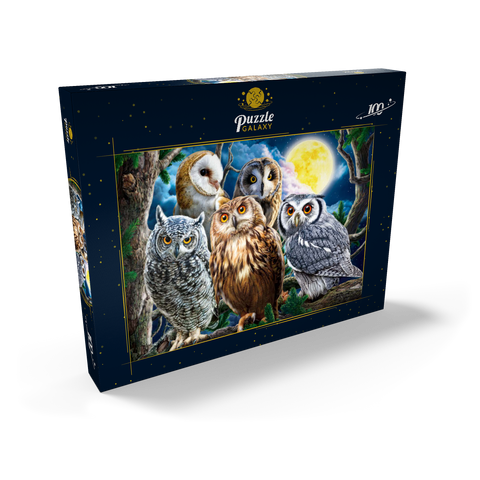 Owls 100 Puzzle Schachtel Ansicht2