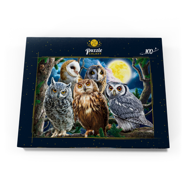 Owls 100 Puzzle Schachtel Ansicht3