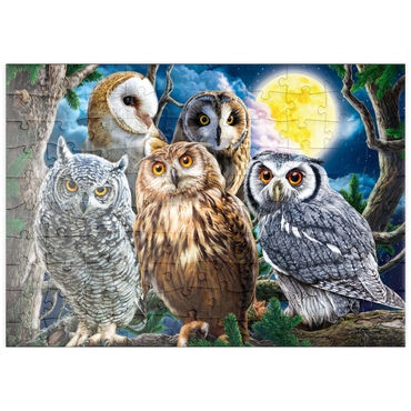 puzzleplate Owls 100 Puzzle