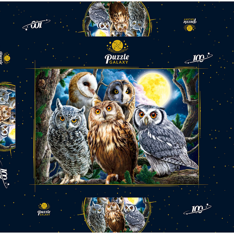 Owls 100 Puzzle Schachtel 3D Modell