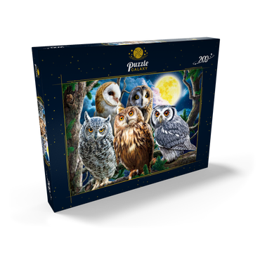 Owls 200 Puzzle Schachtel Ansicht2