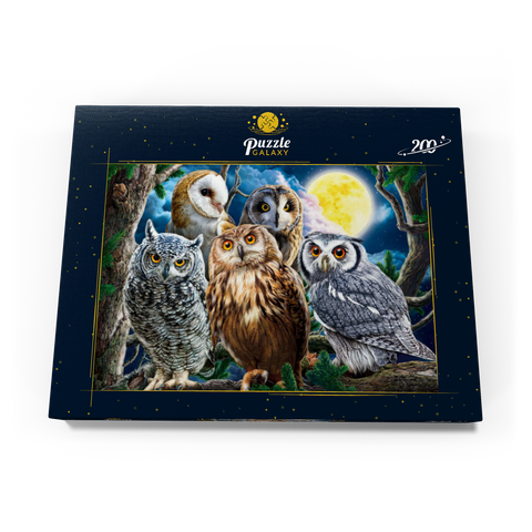 Owls 200 Puzzle Schachtel Ansicht3