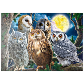 Darstellung des Puzzle Motivs Eulenschau im nächtlichen Wald - Puzzleteile: 200