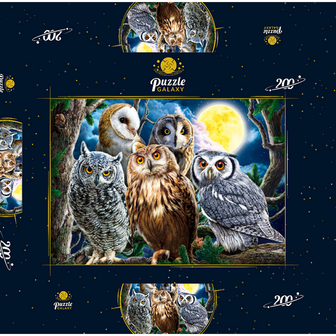 Owls 200 Puzzle Schachtel 3D Modell