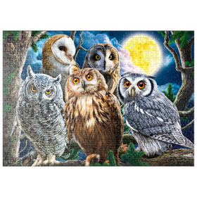 Darstellung des Puzzle-Motivs Eulenschau im nächtlichen Wald – Puzzleteile: 500