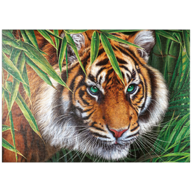 Darstellung des Puzzle Motivs Die Augen des Dschungels: Ein fesselnder Tigerblick - Puzzleteile: 1000