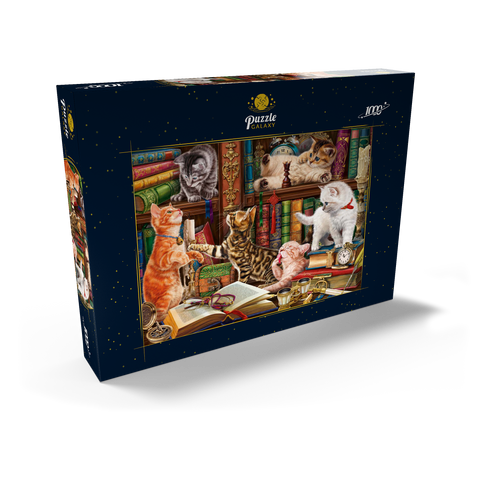 Library Kittens 1000 Puzzle Schachtel Ansicht2