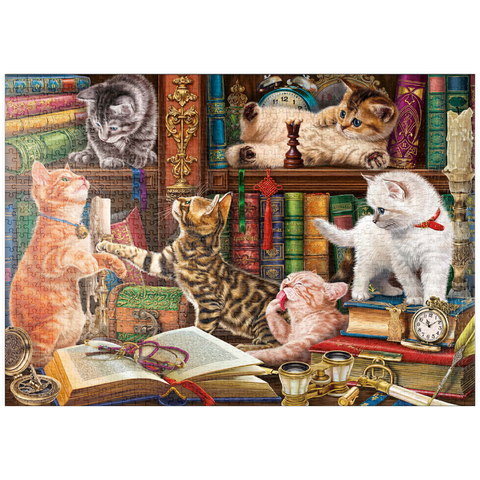 puzzleplate Library Kittens 1000 Puzzle