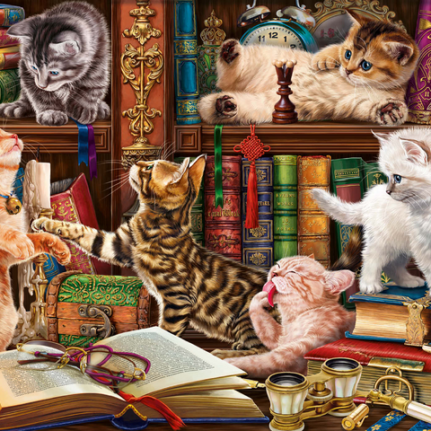 Library Kittens 1000 Puzzle 3D Modell