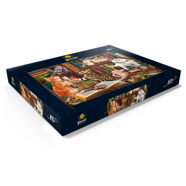 Library Kittens 100 Puzzle Schachtel Ansicht1