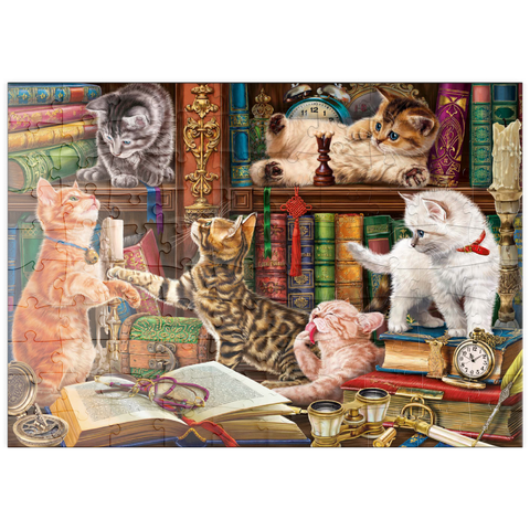 puzzleplate Library Kittens 100 Puzzle