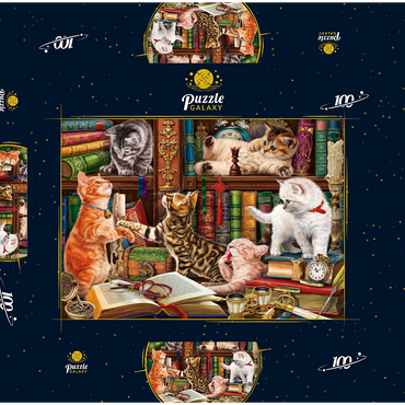 Library Kittens 100 Puzzle Schachtel 3D Modell