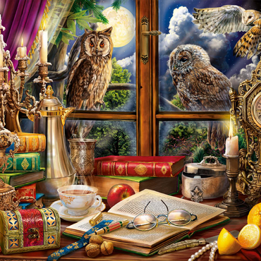 Evening Still Life With Owls 200 Puzzle 3D Modell